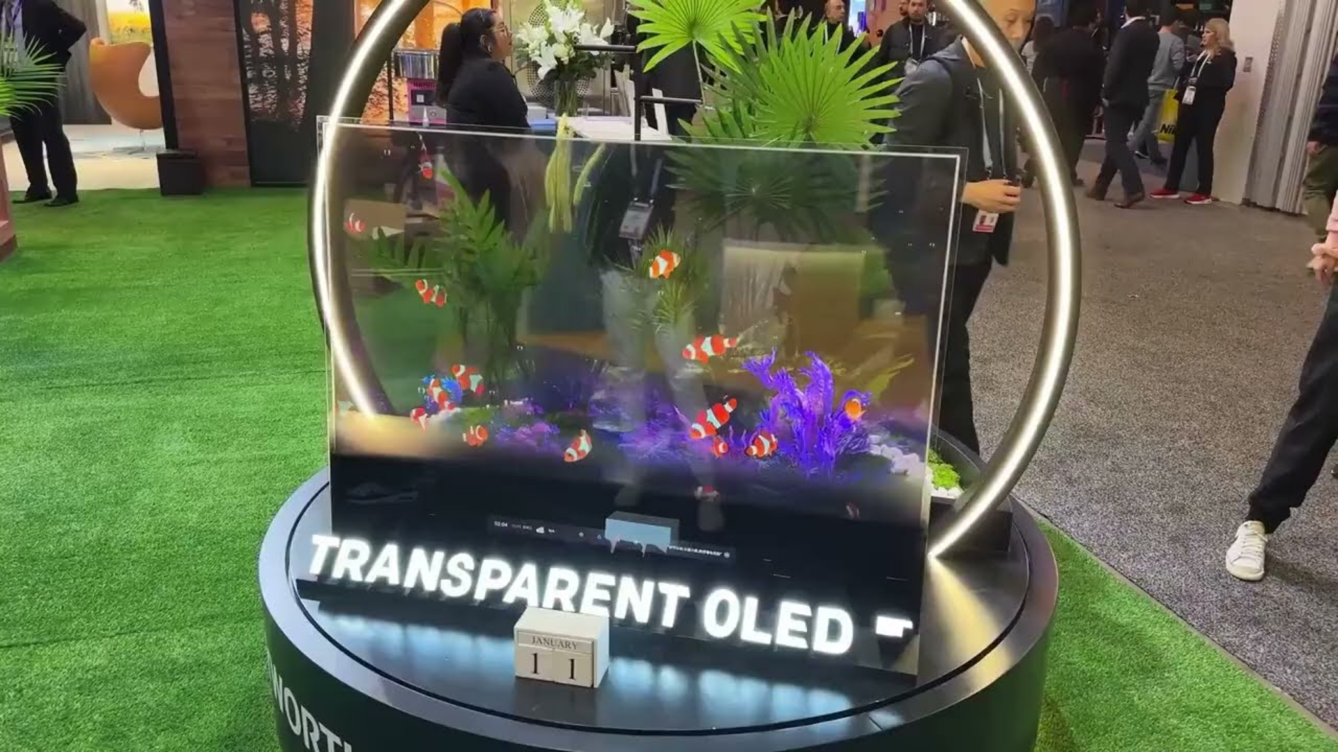 Sample video for Mr Warren Ombayo